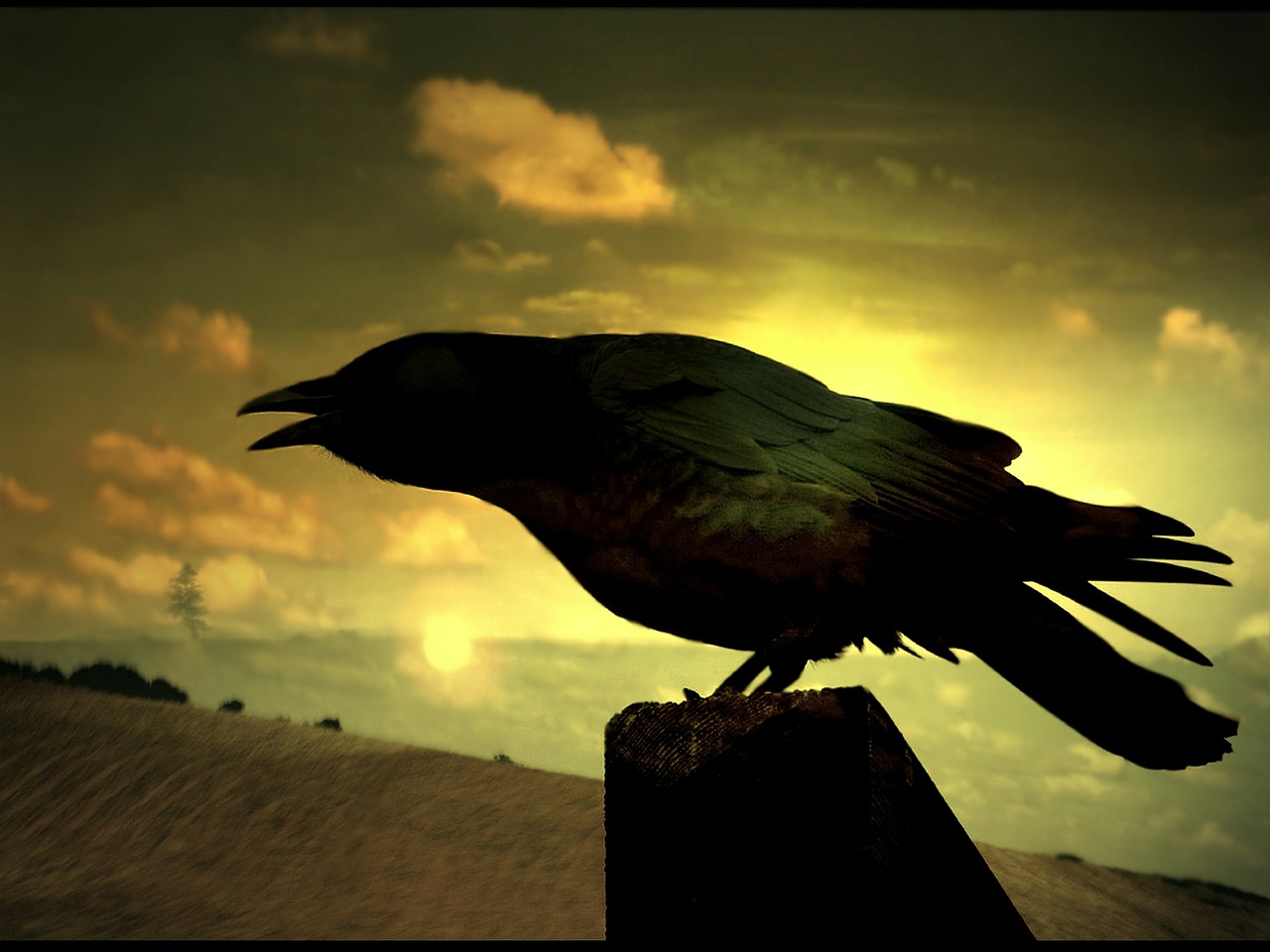 Let’s Read Edgar Allan Poe’s “The Raven”